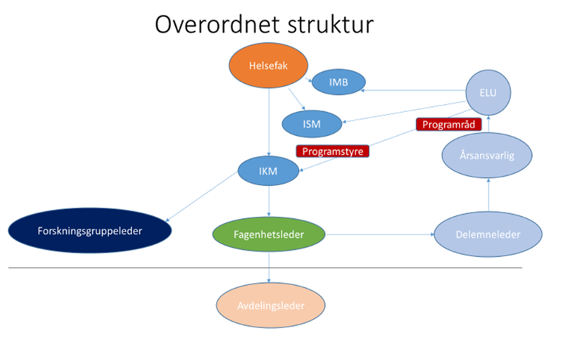 Struktur IKM.png Illustrasjon av strukturen ved IKM